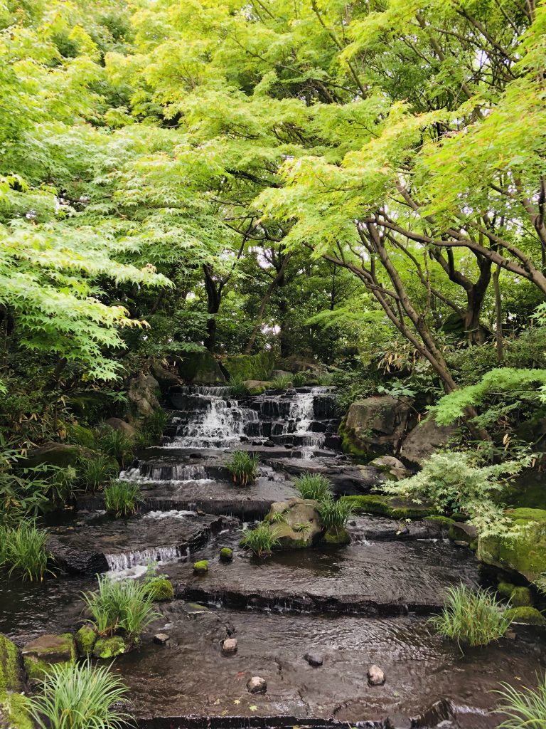 好古園的水景